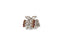 Allure Metal & Rhinestone Small Jaw Clips