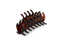Allure Ribbed Jaw Clip